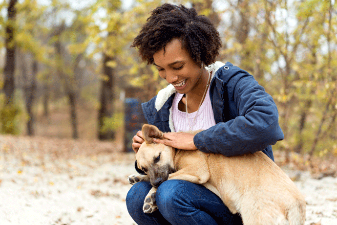 What You Should Consider When Administering CBD To Your Pet