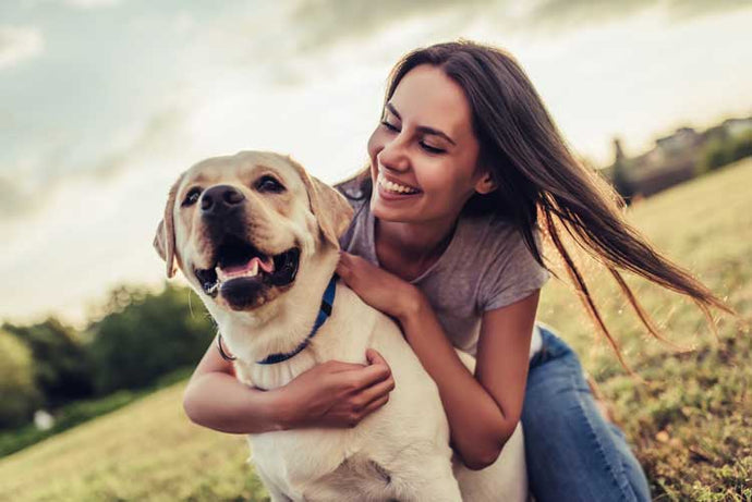 What Health Problems Can CBD Oil Treat in Cats and Dogs?
